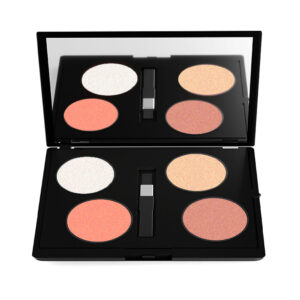 4 Color Highlighter kit