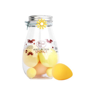 6 in 1 Beauty Blender Sponge