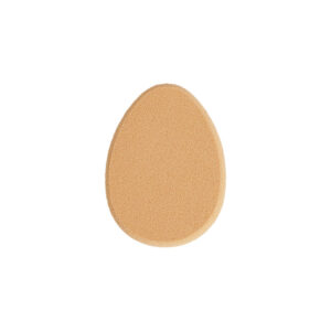 Blending Sponge