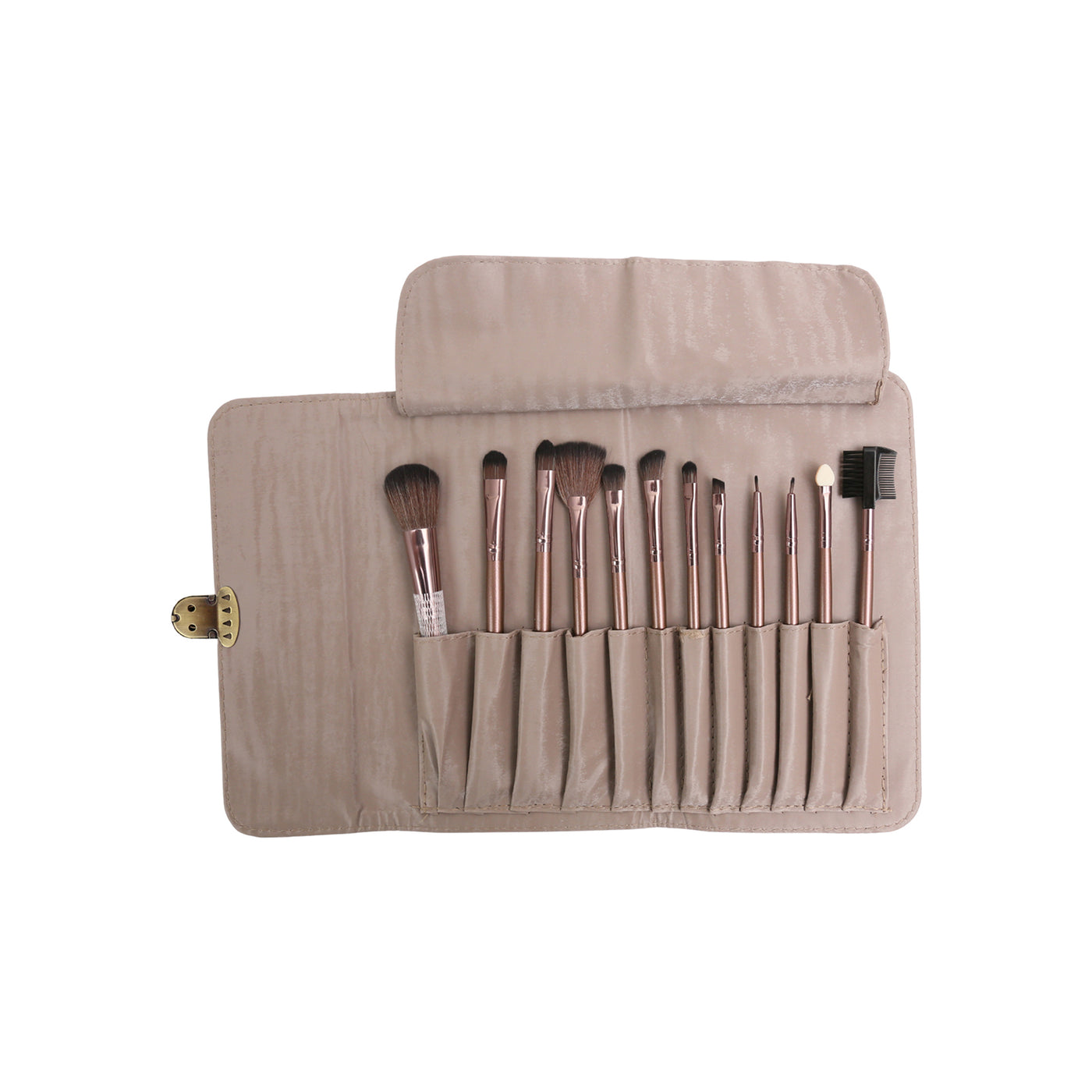 Professional Brush Kit-12 Pcs