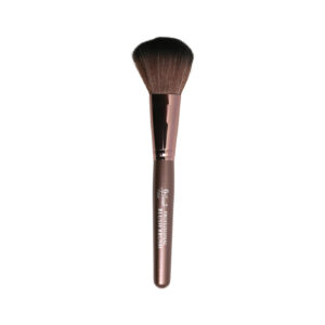 Professional Blush On Brush