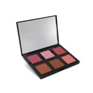 6 Blush Palette Kit