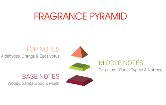 INSTANT DEZIRE EDP - Image 5