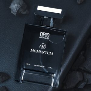 MOMENTUM FOR MEN