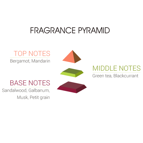 PHENOM EDP Plus - Image 5